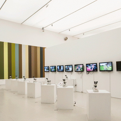 454c1722d1eb42499c3ae2993bffafb2