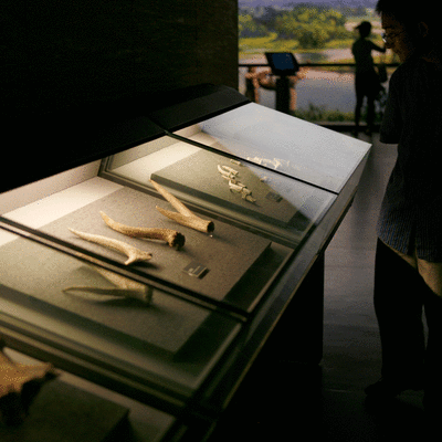 C688304b23e24294b9722c99cf763958