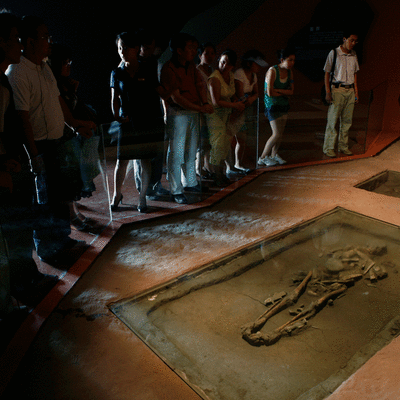 433bc3159af248efaff94b2213fc1199