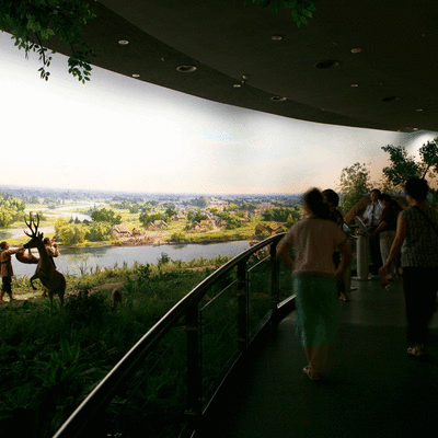 8dfedc59ed61475989f78a27f7d25e66