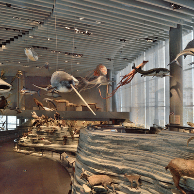 E02fedcad0674e16921e1cf63e99ff4b